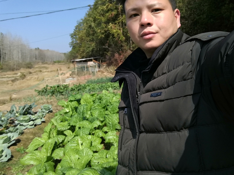 倔强的驴的第一张照片--福鼎相亲网