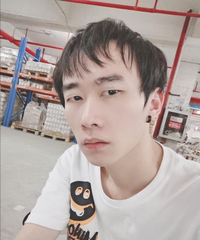 巷子里的猫的第一张照片--福鼎相亲网