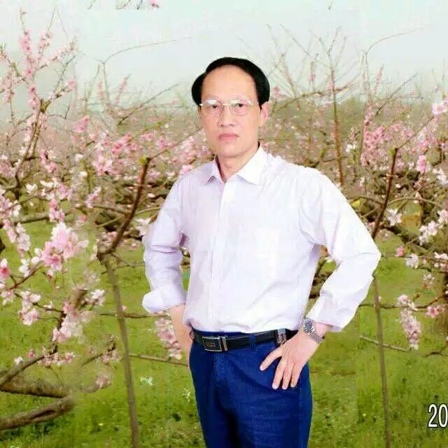 枫叶的第一张照片--福鼎相亲网
